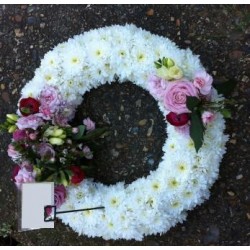 Sympathy 1 - Prices start from £75.00